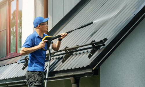 Gutter Cleaning (2)